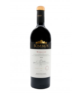 SOMOS Colección Merlot de Bodega SOMOS, vino tinto de la D.O. Somontano.