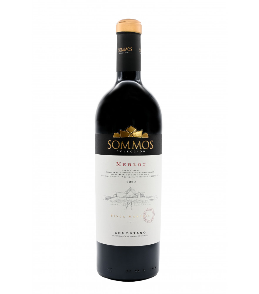 SOMOS Colección Merlot de Bodega SOMOS, vino tinto de la D.O. Somontano.