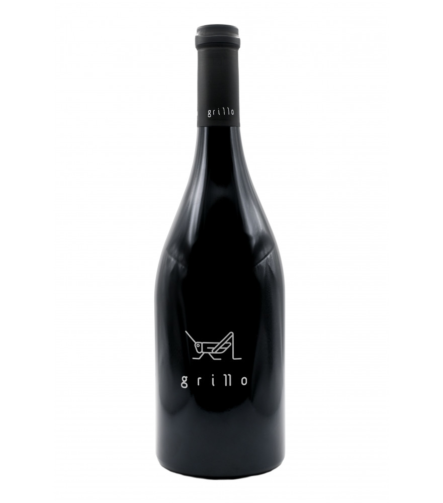 El Grillo de El Grillo y La Luna, vino tinto de la D.O. Somontano.
