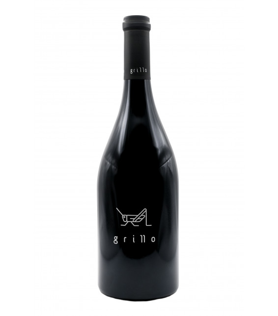 El Grillo de El Grillo y La Luna, vino tinto de la D.O. Somontano.