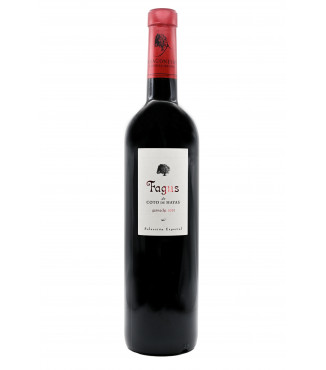 Fagus de Coto de Hayas Garnacha Campo de Borja