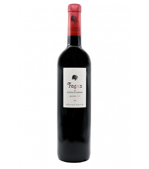 Fagus Garnacha Campo de Borja